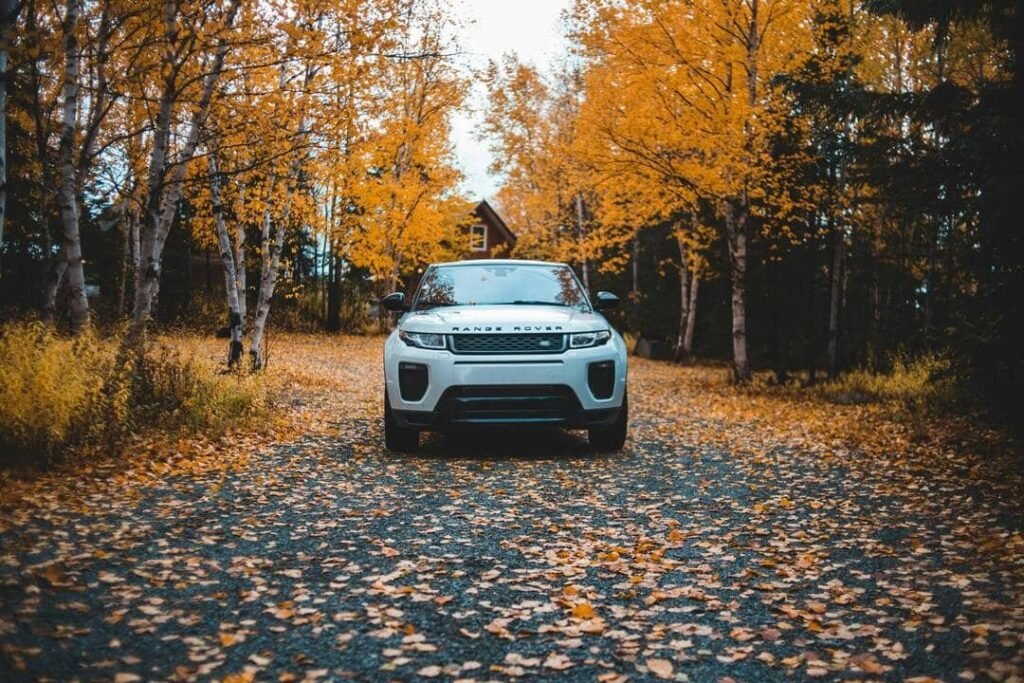 SUV Herbst